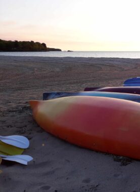 Row of kayaks on beach at sunset