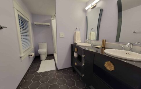 Double vanity and toilet