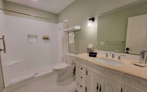 Large single sink vanity, toilet to the right, walk-in tile shower